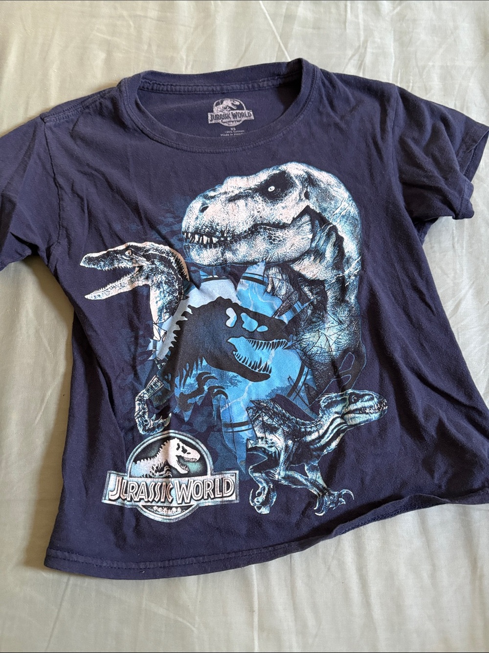 Jurassic World Boys' Navy Short Sleeve Dinosaur Graphic Tee